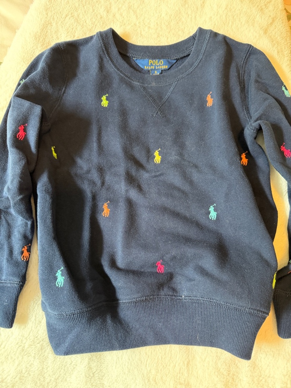 Polo by Ralph Lauren Navy Sweatshirt with Multicolor Pony Embroidery